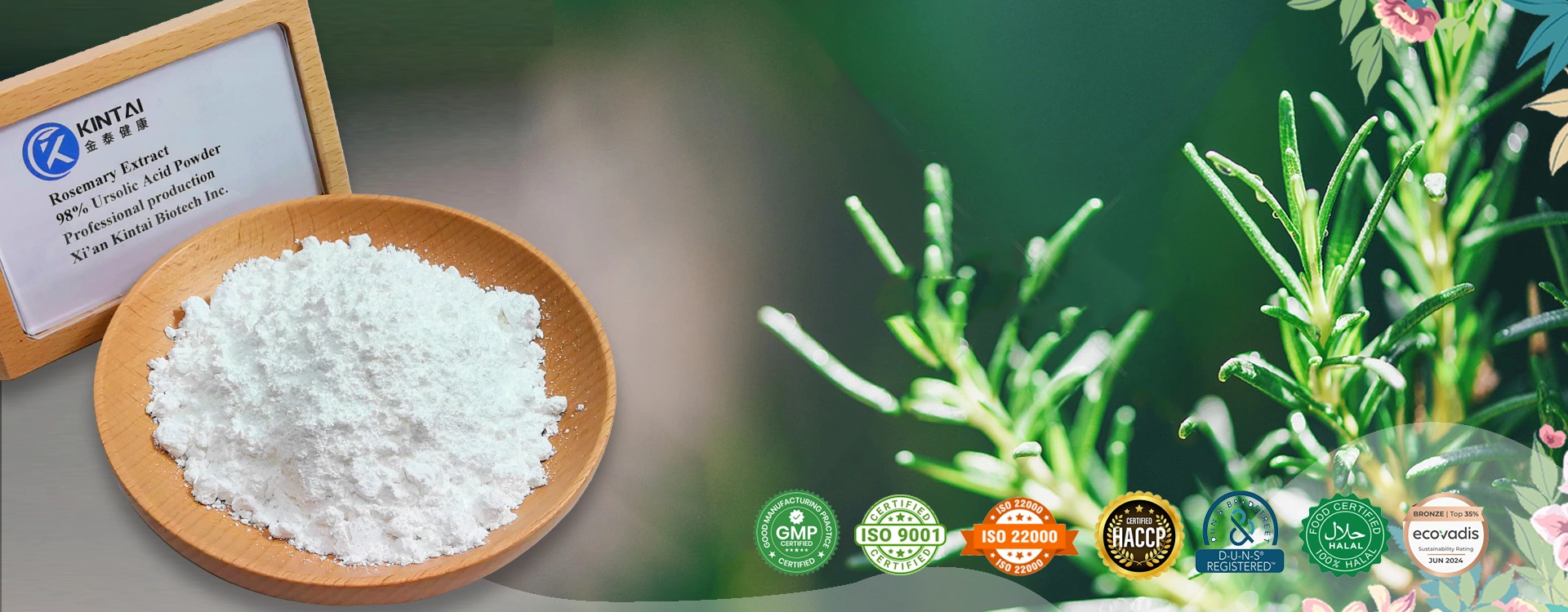 Rosemary Extract Factory