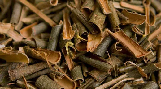 What Is Magnolia Bark Extract? What Is Magnolia Bark Extract?