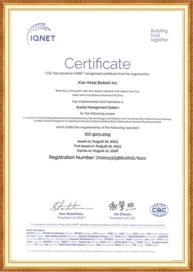 Kintai IQNET ISO 90012015