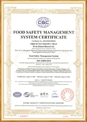 Kintai ISO 220002018