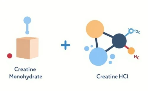 Cr HCL Vs Monohydrate Cr HCL Vs Monohydrate